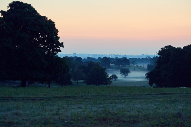 Adi sunrise 250517 S1-010.jpg