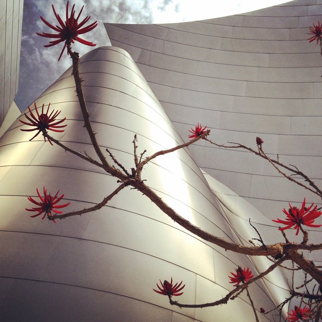 WALT DISNEY CONCERT HALL - RED 3