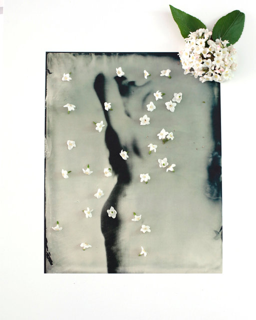 FLOWERS_1_010.JPG