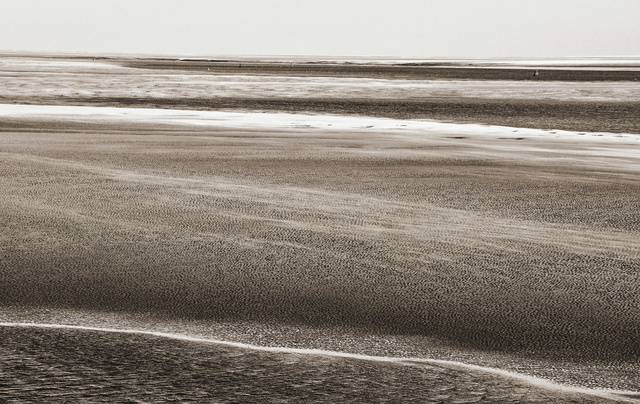 DSC_0050.JPG