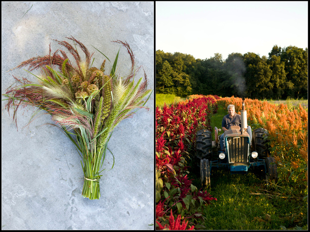 Screen Shot 2012-02-21 at 3.33.03 AM.png