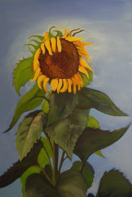 One Sunflower.JPG
