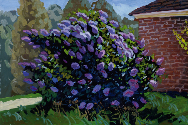 Lilac- Kincardine, Ontario, 24 x 36"