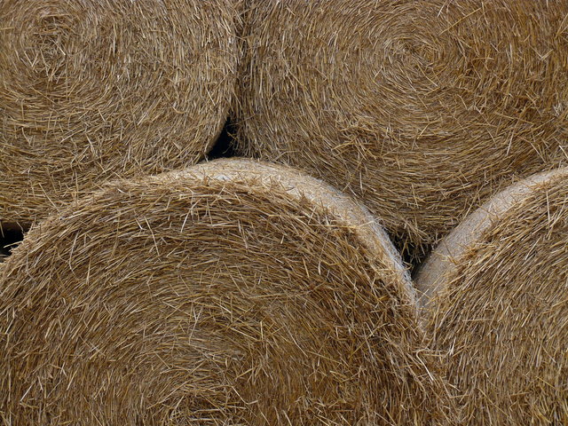 Hay Bails Near Perrywood Farm VB.JPG