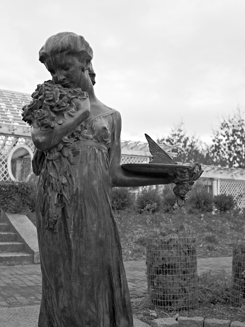 © 2011 Roz Akin
