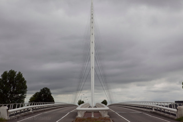 _MG_2807.jpg