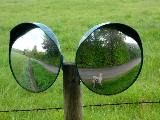 Billy in Road Mirrors (3) VB.JPG