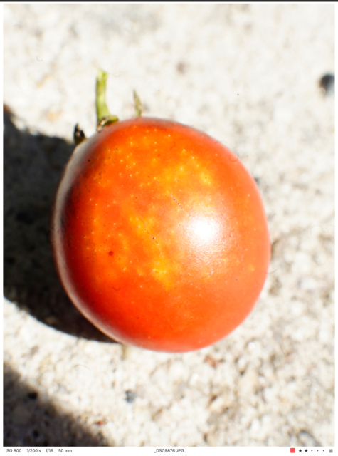 Screen Shot 2022-02-07 at 4.35.07 PM.png