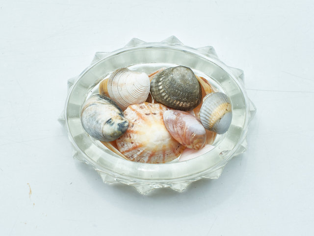 SHELLS-WEB-FINAL-3.jpg