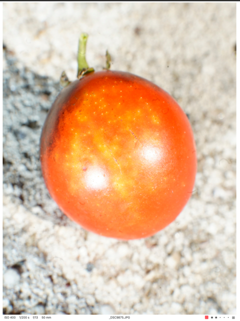 Screen Shot 2022-02-07 at 4.34.38 PM.png