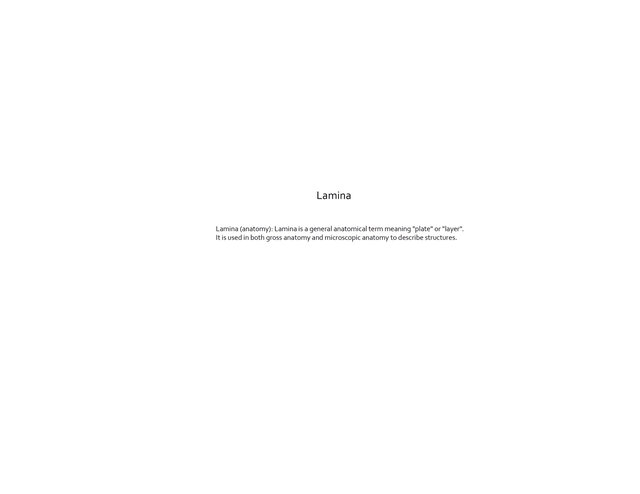 Lamina-Title-Page.tif