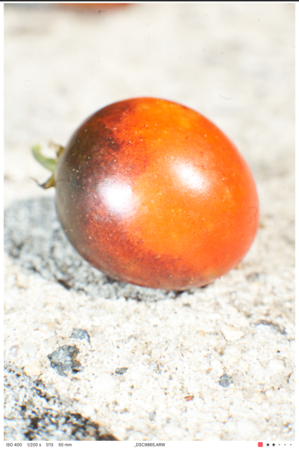 Screen Shot 2022-02-07 at 4.34.17 PM.png