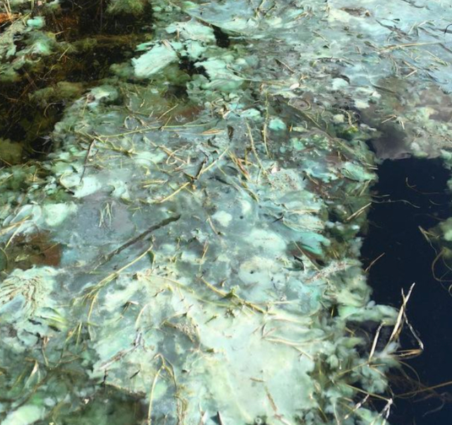 Screen Shot 2021-09-20 at 8.05.53 PM.png