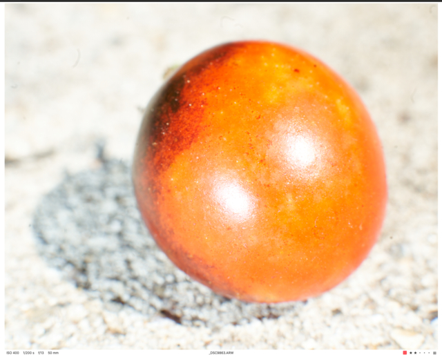 Screen Shot 2022-02-07 at 4.34.02 PM.png