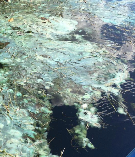 Screen Shot 2021-09-20 at 8.05.41 PM.png