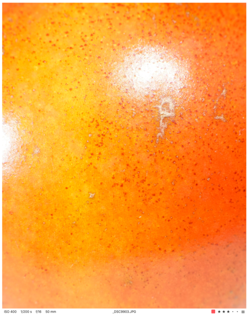 Screen Shot 2022-02-07 at 4.33.46 PM.png