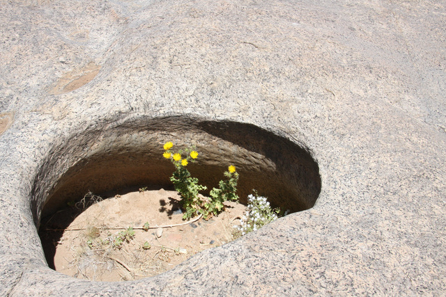 Augrabies National Park (SA)