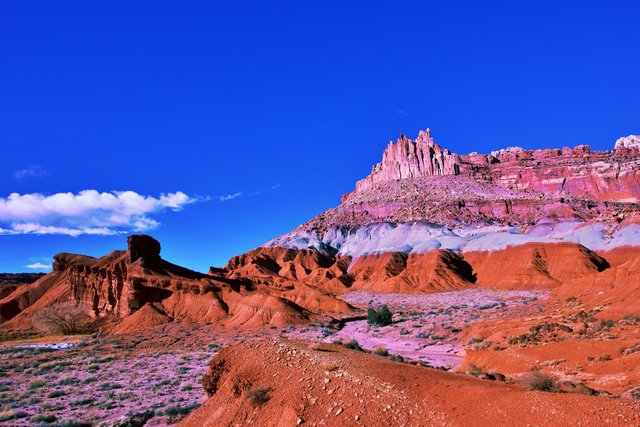 313a_689.jpg