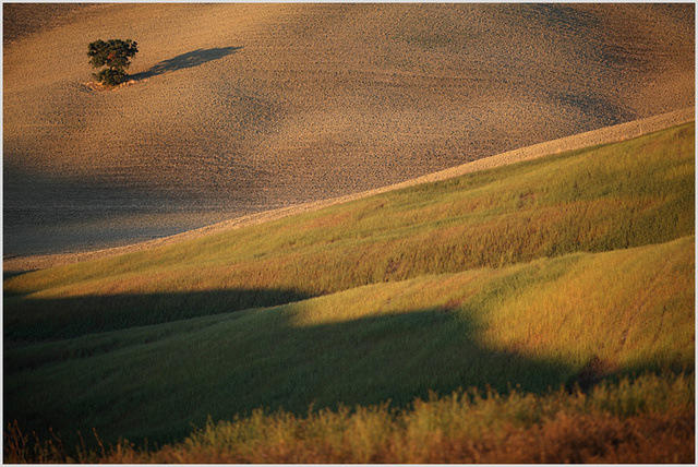 val d´orcia oak