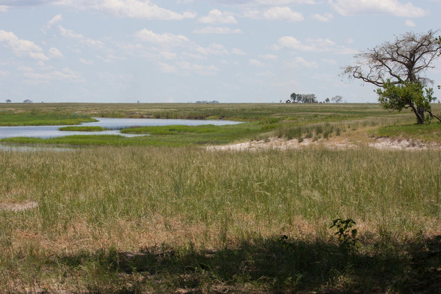 Chobe River