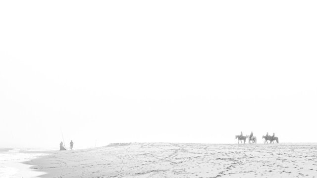 365-1010242-2.jpg