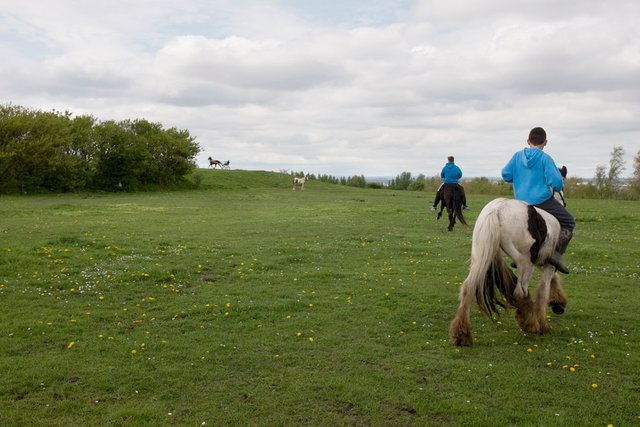 DSCF5141.jpg