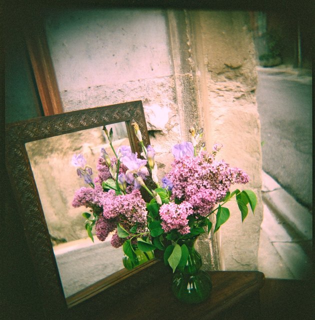 Holga France 84 France#9-01-#2-FlowerMirror