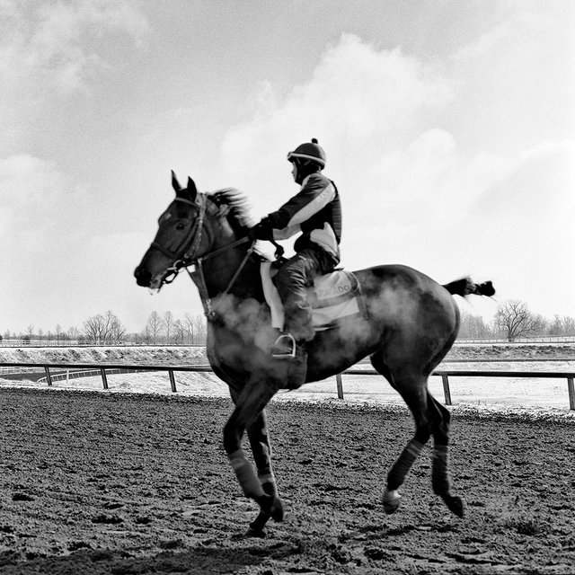 The Thoroughbred Center, Lexington, KY