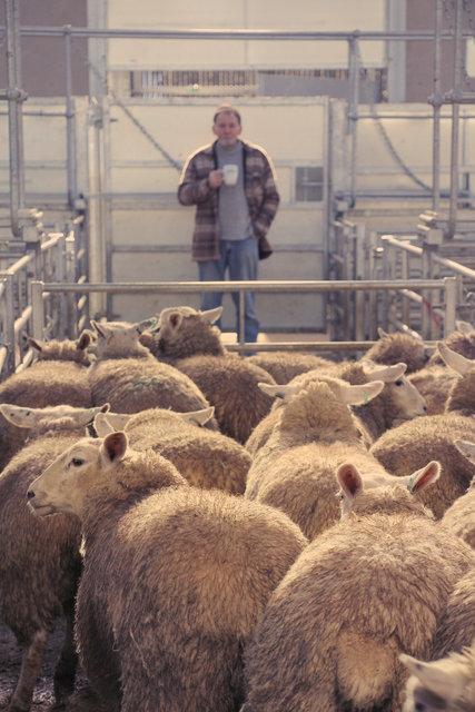 Buyer, Monmouthshire Livestock Centre