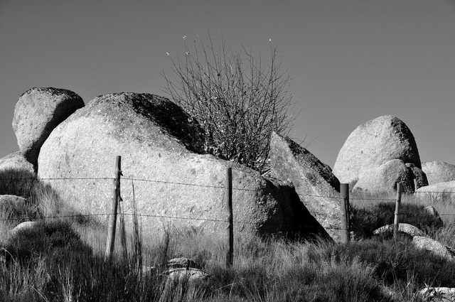 cevennes2010_0572.JPG