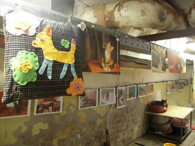 DSCN5949.JPG