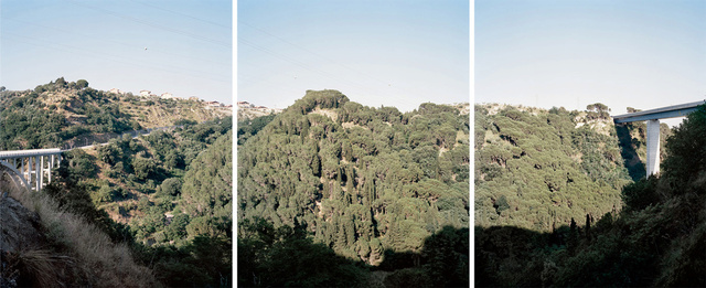 Catanzaro Trittico 2 .jpg