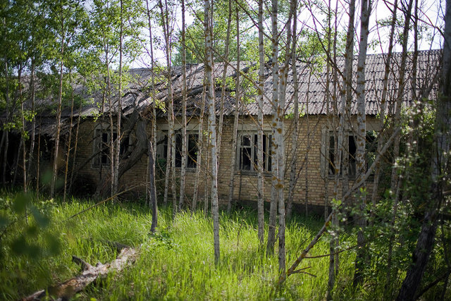 Abandoned house II.