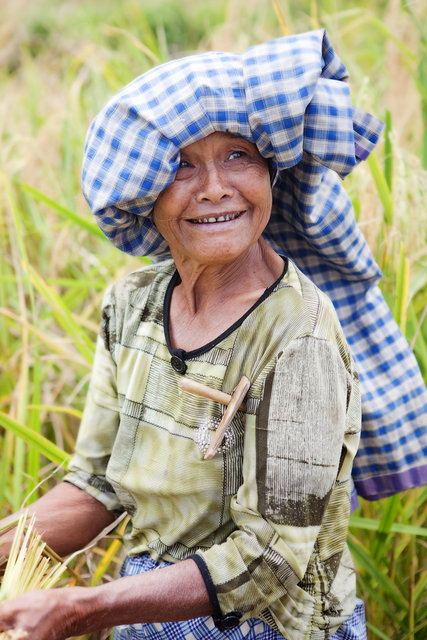 Rice Farmer