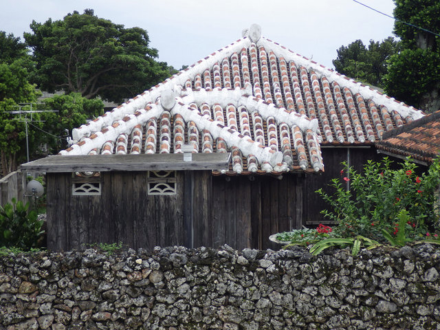 IMGP1236.JPG