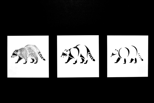 Raccoon 4-10-12.jpg