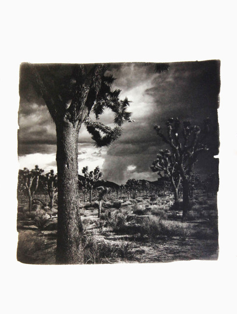 American Diary-051.JPG