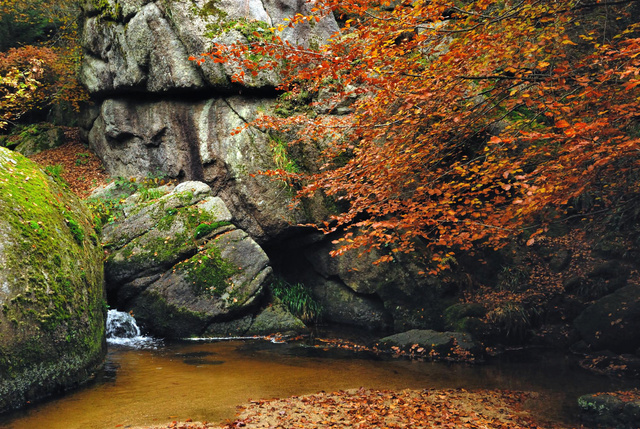 La Mare aux sangliers, forêt du Huelgoat