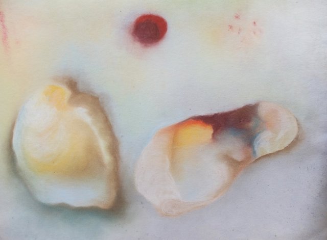 Pale Little Shells by Alison Gracie