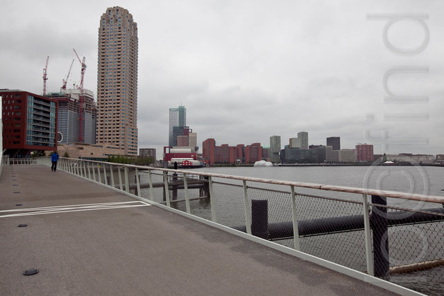 _MG_4806.jpg