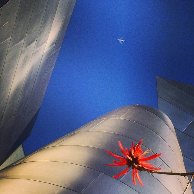 WALT DISNEY CONCERT HALL - RED 2