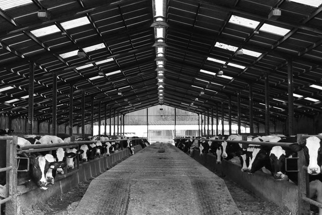 Bosley Mill Farm, Gloucestershire
