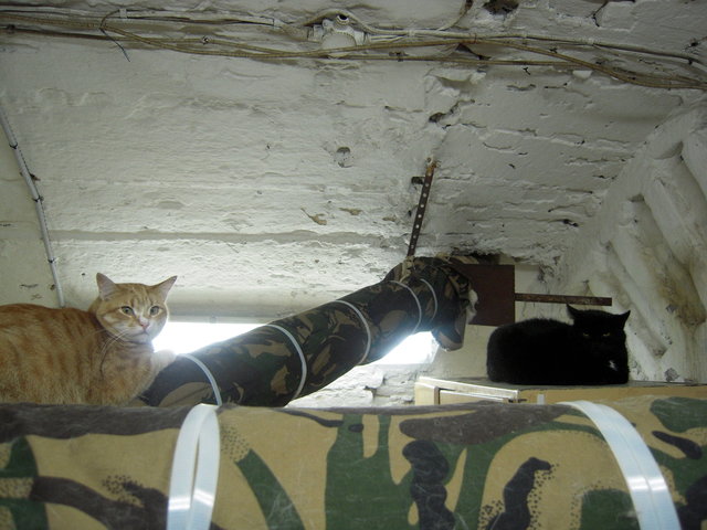 DSCN5943.JPG