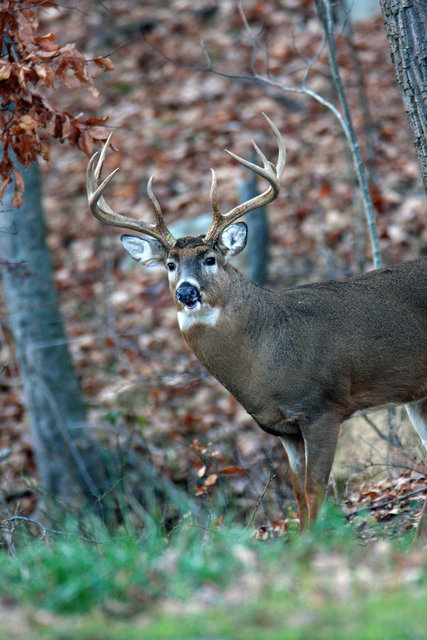 IMG_3825worked_Full-sharp.jpg