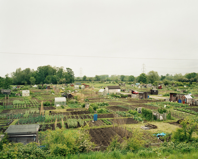 Allotments, Leicestershire