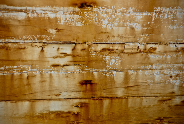 Weathered 17.