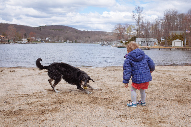 Roscoe_beach003.jpg