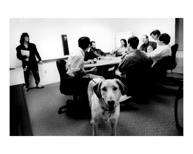 12 of 50_007_62988_21_SM_DSI (2)-edit.jpg
