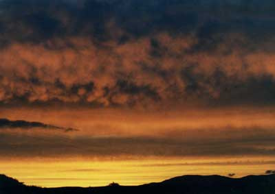 Ben Sunset 2 by Alison Gracie