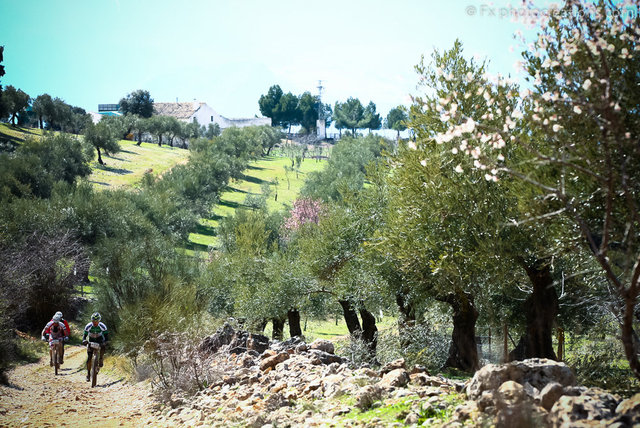 Andalucia05696.jpg